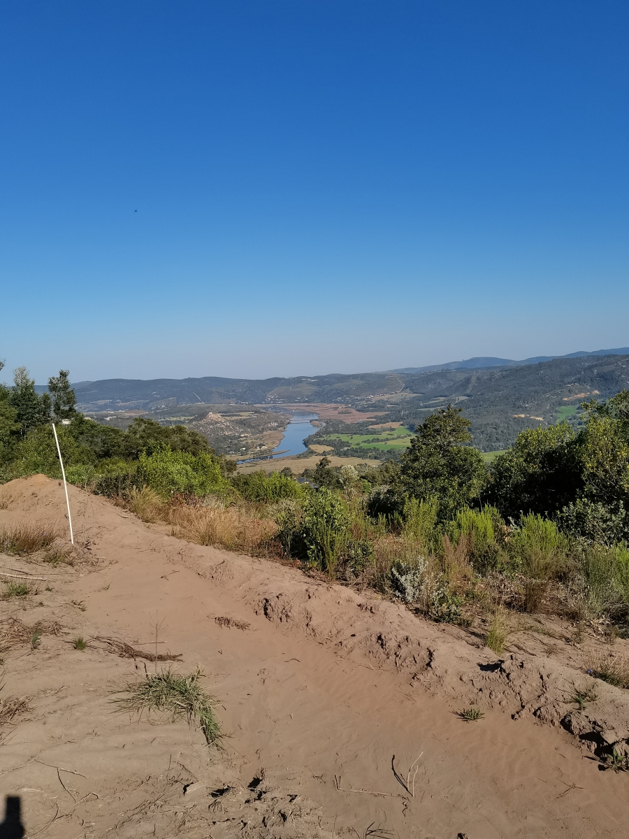 0 Bedroom Property for Sale in Simola Western Cape